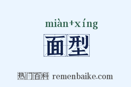 面型是什么意思的图片